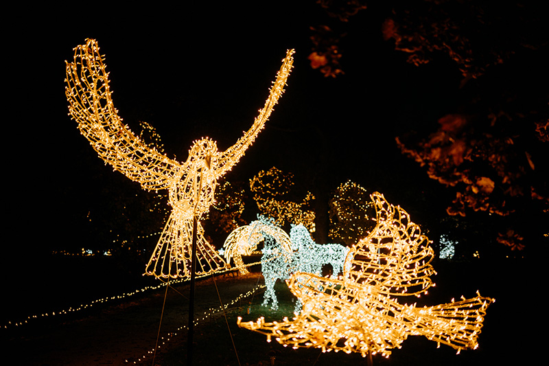 Story of Lights Zalaegerszeg 4